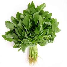 amaranthus_thotakura