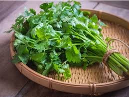 coriander