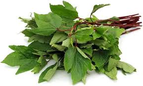 gongura
