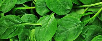 Spinach